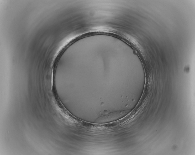 X0000093581323200711051110