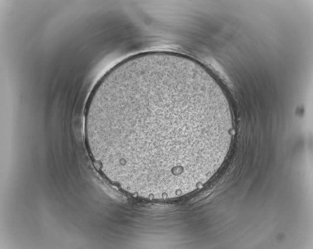 X0000093581324200711051110