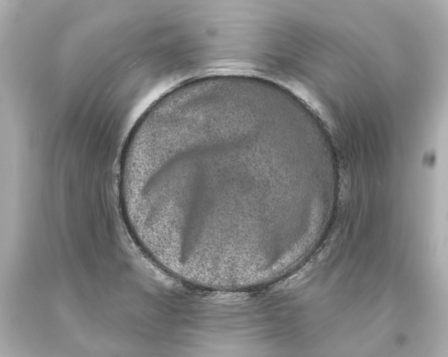 X0000093581325200711051110