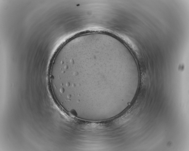 X0000093581327200711051110