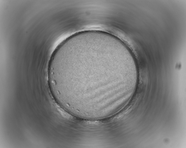 X0000093581328200711051110