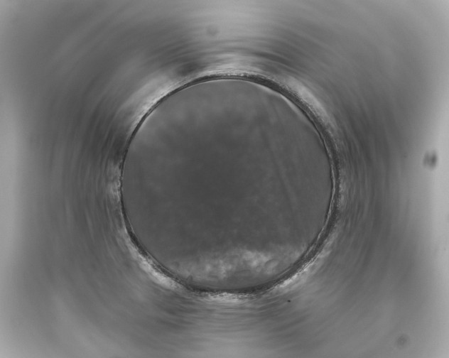 X0000093581329200711051110