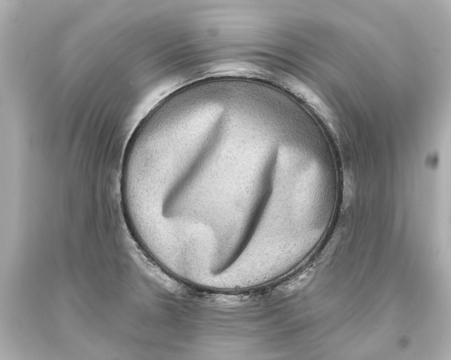 X0000093581330200711051110