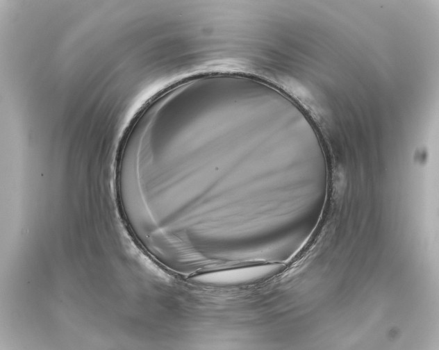 X0000093581334200711051110