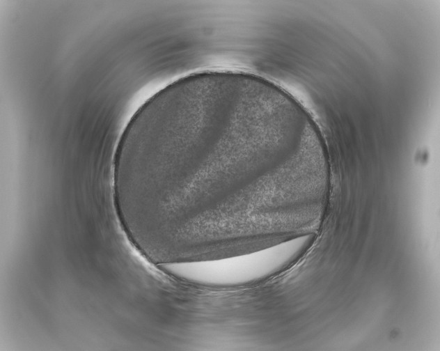 X0000093581335200711051110