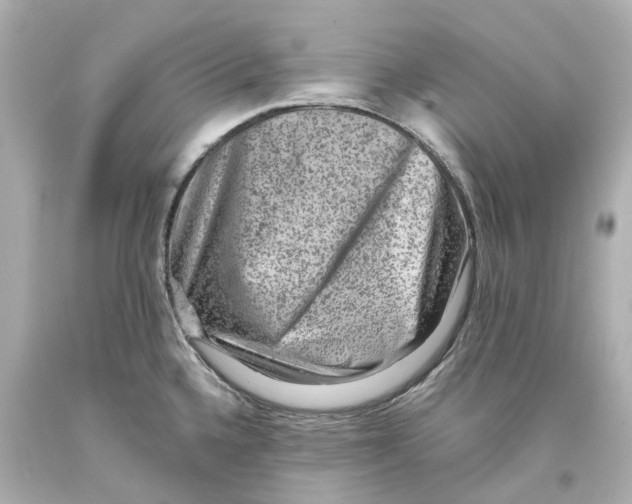 X0000093581336200711051110