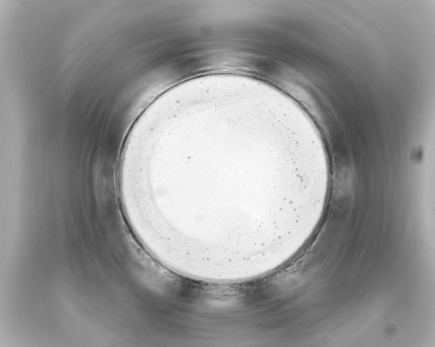 X0000093581338200711051110