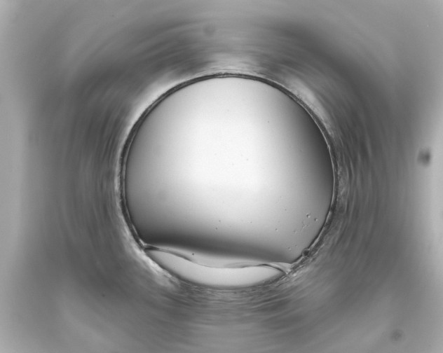 X0000093581339200711051110