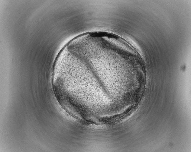 X0000093581340200711051110