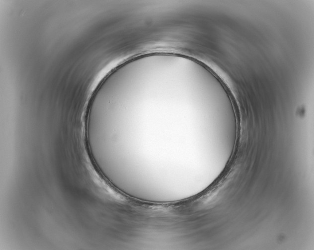 X0000093581341200711051110