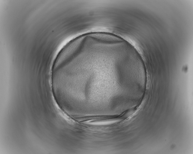 X0000093581342200711051110