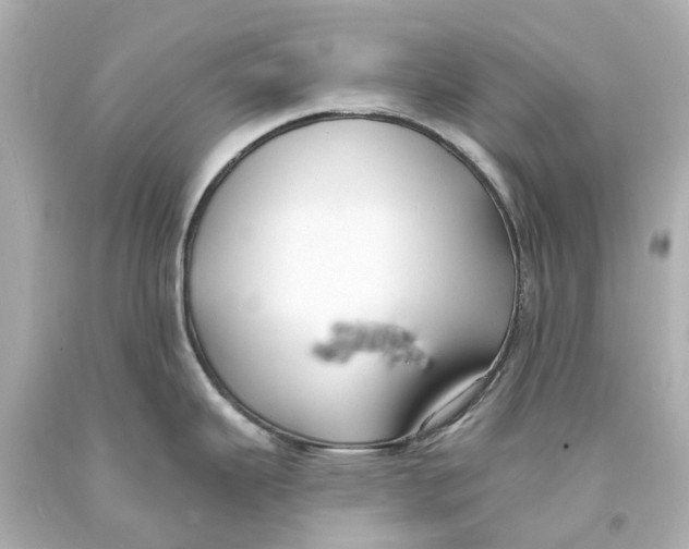 X0000093581343200711051110