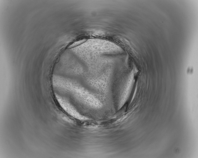 X0000093581345200711051110