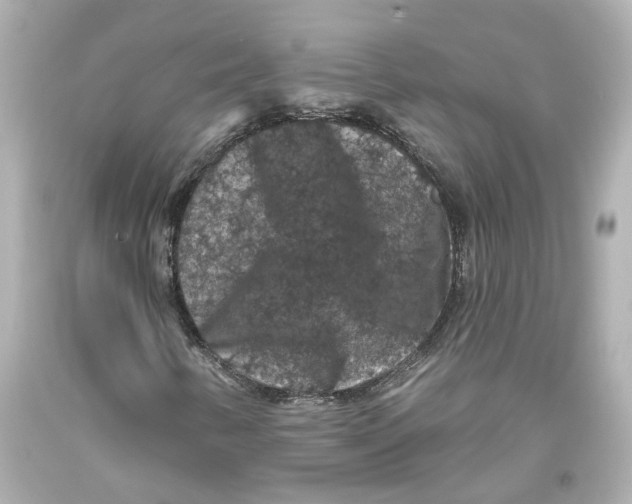 X0000093581346200711051110