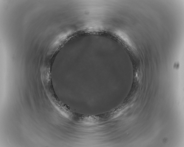 X0000093581348200711051110