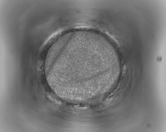 X0000093581351200711051110