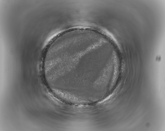 X0000093581352200711051110