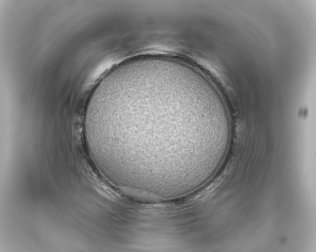 X0000093581355200711051109