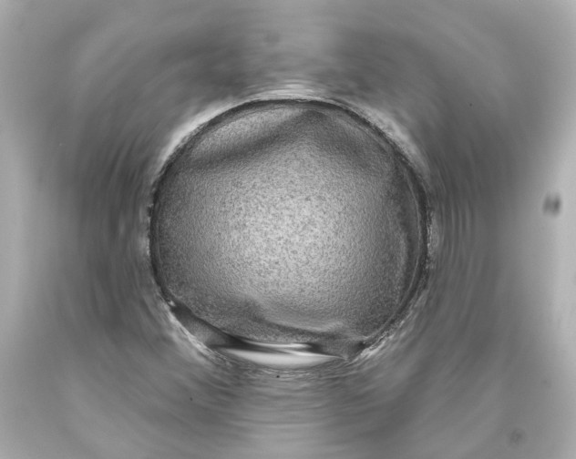 X0000093581356200711051109