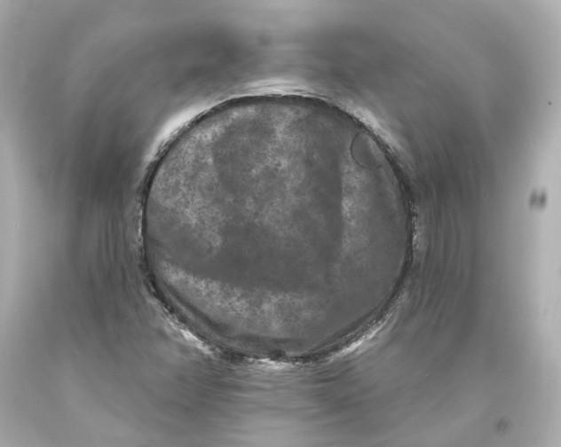 X0000093581358200711051109