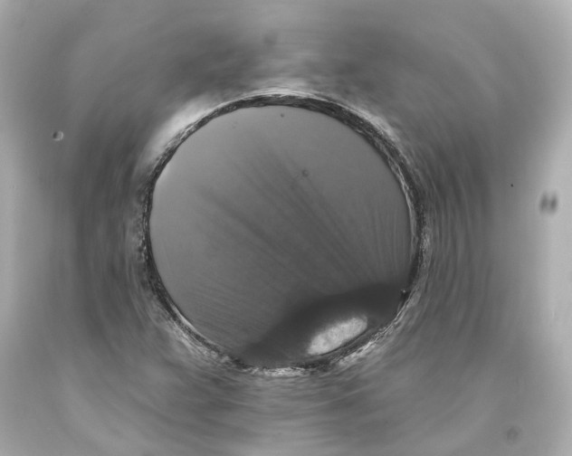 X0000093581359200711051109