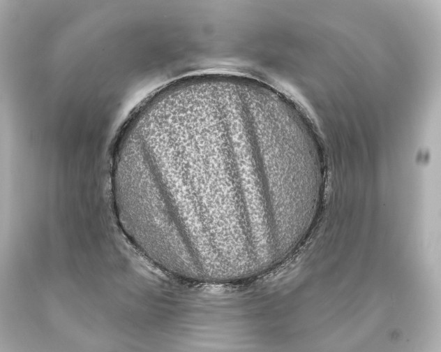 X0000093581360200711051109