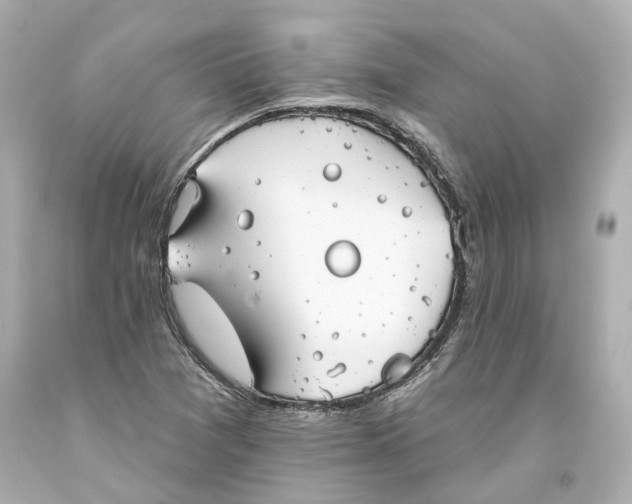 X0000093581361200711051109