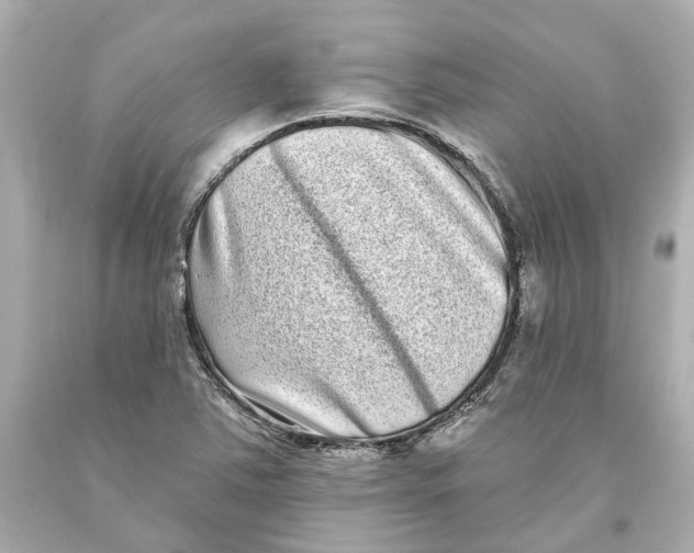 X0000093581363200711051109