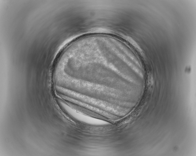 X0000093581364200711051109