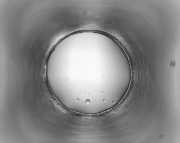 X0000093581366200711051109