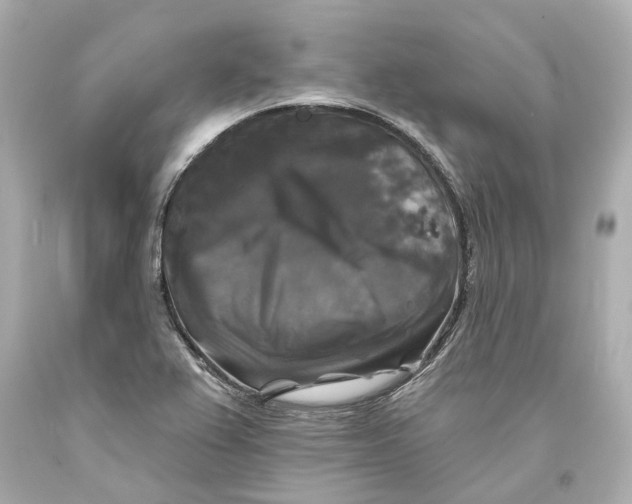 X0000093581367200711051109