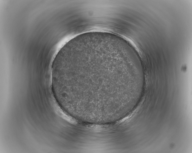 X0000093581371200711051109