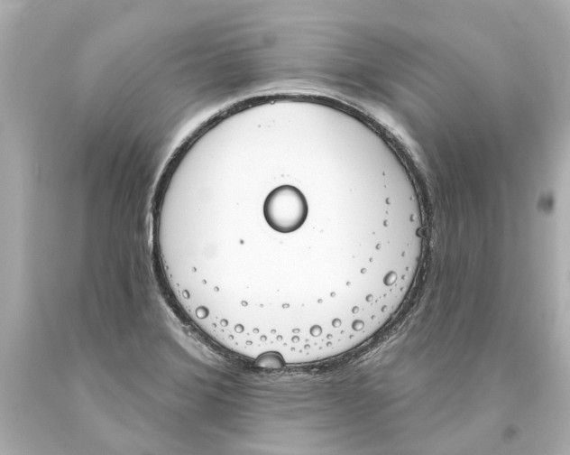 X0000093581372200711051109