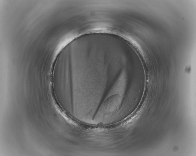 X0000093581373200711051109