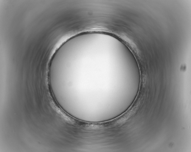 X0000093581374200711051109