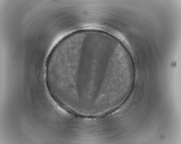 X0000093581376200711051109