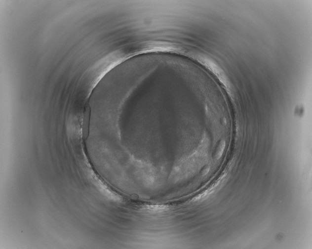 X0000093581377200711051109