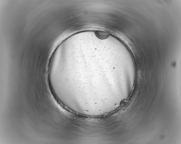 X0000093581379200711051109