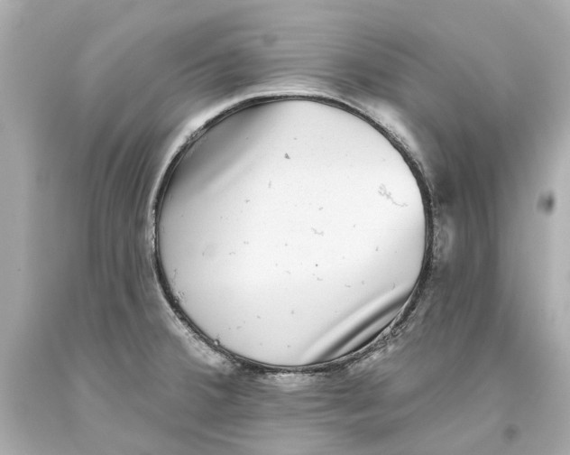 X0000093581380200711051109