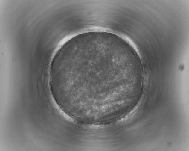 X0000093581381200711051109