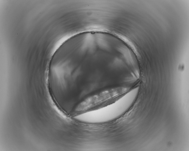 X0000093581383200711051109