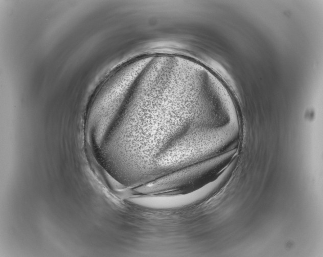 X0000093581384200711051109