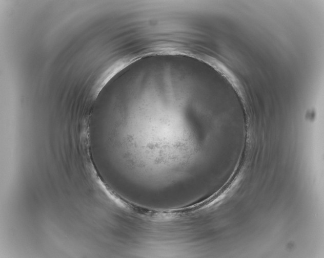 X0000093581385200711051109