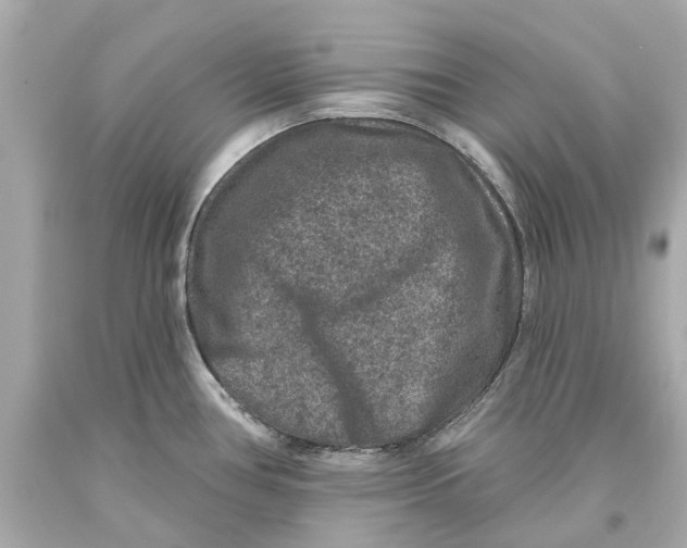 X0000093581386200711051109