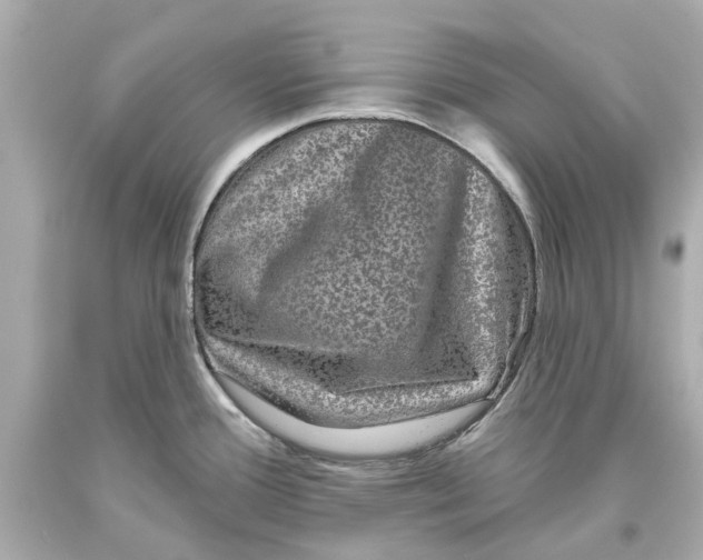 X0000093581388200711051109