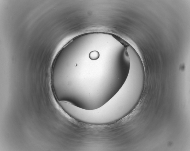 X0000093581389200711051109