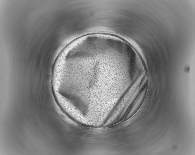 X0000093581390200711051109