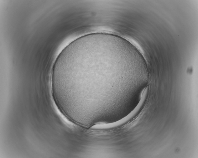 X0000093581391200711051109