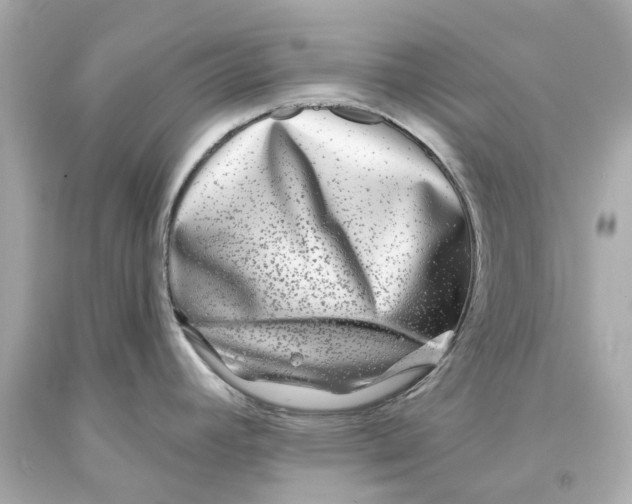 X0000093581392200711051109