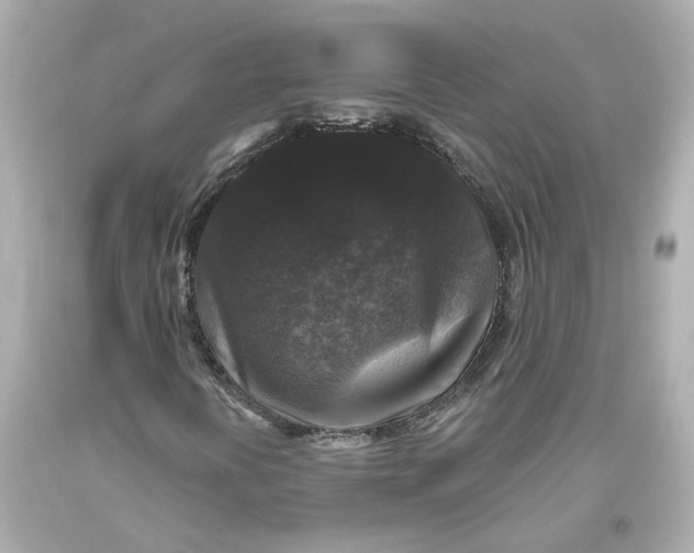 X0000093581394200711051108